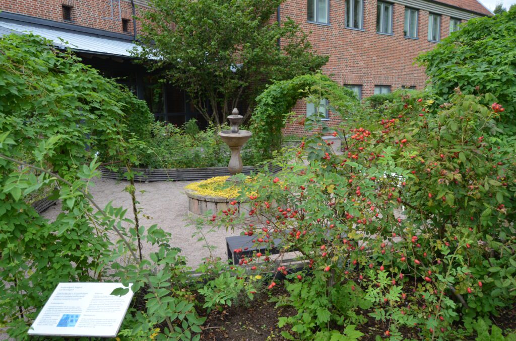 Lödöse museum